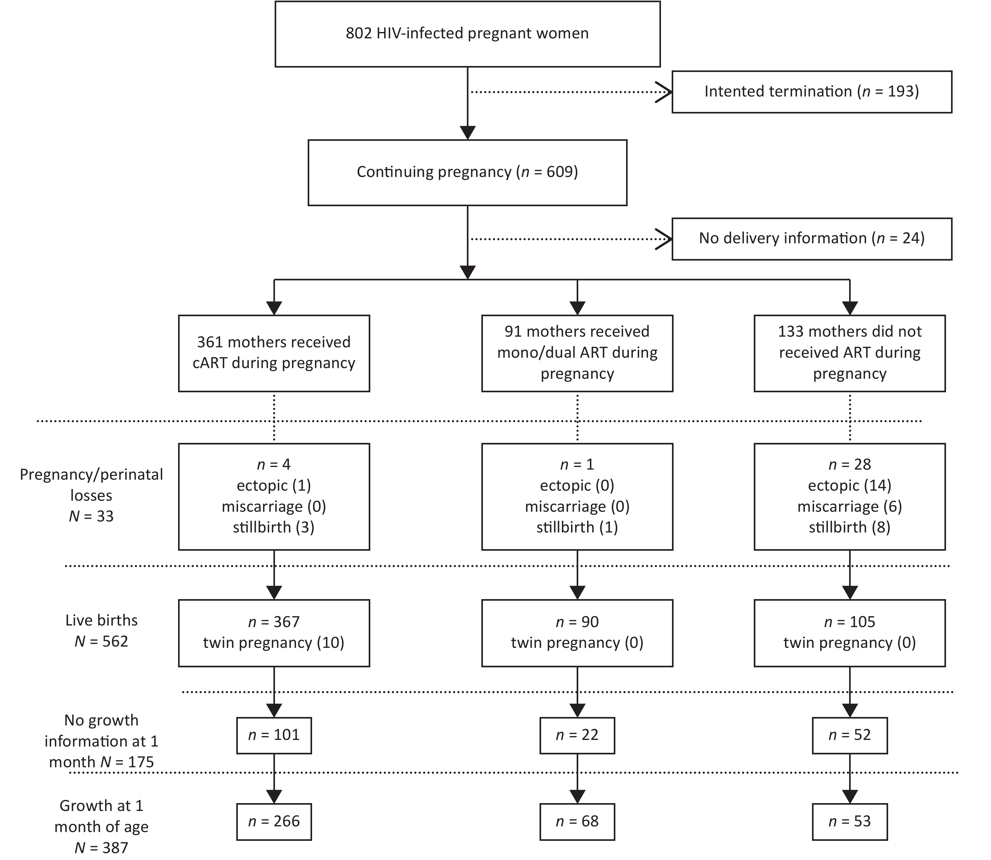 Ijm Organization Chart